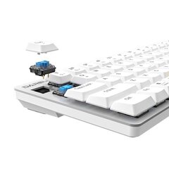 Mechanical keyboard Dareu EK868 (white) цена и информация | Клавиатура с игровой мышью 3GO COMBODRILEW2 USB ES | hansapost.ee