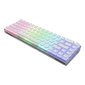 Dark Project KD68B Transparent White, Pudding, Teal Switch, US цена и информация | Klaviatuurid | hansapost.ee