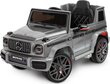 Laste ühekohaline elektriauto Toyz Mercedes AMG G 63, hall hind ja info | Laste elektriautod | hansapost.ee