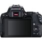 Canon EOS 250D + EF-S 10-18mm IS STM цена и информация | Fotoaparaadid | hansapost.ee