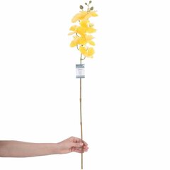 Искусственная орхидея, 10 штук цена и информация | Детали интерьера | hansapost.ee