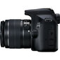 Canon EOS 2000D + EF-S 18-55mm IS II + EF-S 55-250mm IS STM цена и информация | Fotoaparaadid | hansapost.ee