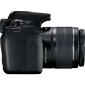 Canon EOS 2000D + EF-S 18-55mm IS II + EF-S 55-250mm IS STM цена и информация | Fotoaparaadid | hansapost.ee