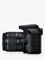 Canon EOS 2000D + EF-S 18-55mm III + EF-S 55-250mm IS STM hind ja info | Fotoaparaadid | hansapost.ee