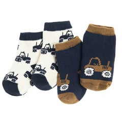 Cool Club носки для мальчиков, 2 шт., CHB2501559-00 цена и информация | Носки, колготки для мальчиков | hansapost.ee