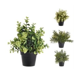Искусственное растение IN GARDEN, D30xH25см, зелёный, серый горшок цена и информация | Искусственные цветы | hansapost.ee