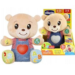 Развивающая игрушка Chicco Feeling Bear 79470 цена и информация | Развивающие игрушки для детей | hansapost.ee