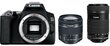 Canon EOS 250D + EF-S 18-55mm IS STM + EF-S 55-250mm IS STM цена и информация | Fotoaparaadid | hansapost.ee