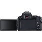 Canon EOS 250D + EF-S 18-55mm IS STM + EF-S 55-250mm IS STM цена и информация | Fotoaparaadid | hansapost.ee