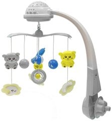 Карусель с проектором Baby Mix 35728/35604 цена и информация | Игрушки для малышей | hansapost.ee