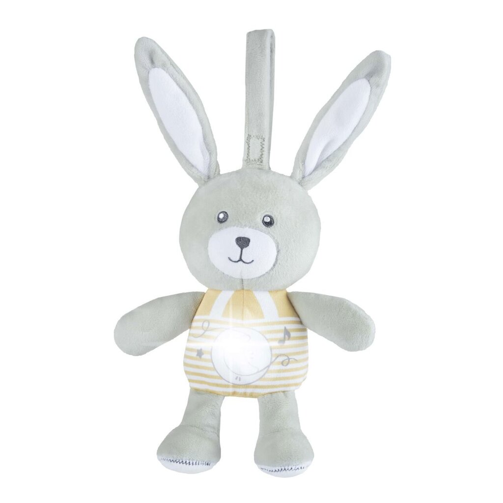 Muusikaline mänguasi Chicco Bunny 151509 price and information | Beebide mänguasjad | hansapost.ee