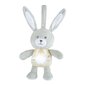 Muusikaline mänguasi Chicco Bunny 151509 цена и информация | Beebide mänguasjad | hansapost.ee