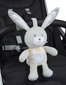 Muusikaline mänguasi Chicco Bunny 151509 hind ja info | Beebide mänguasjad | hansapost.ee