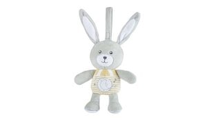 Muusikaline mänguasi Chicco Bunny 151509 price and information | Toys for babies | hansapost.ee