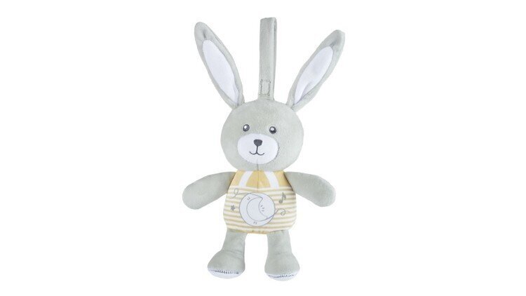 Muusikaline mänguasi Chicco Bunny 151509 цена и информация | Beebide mänguasjad | hansapost.ee