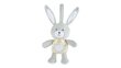 Muusikaline mänguasi Chicco Bunny 151509 hind ja info | Beebide mänguasjad | hansapost.ee