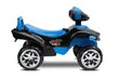 Pealeistutav auto Toyz MiniRaptor Navy цена и информация | Beebide mänguasjad | hansapost.ee
