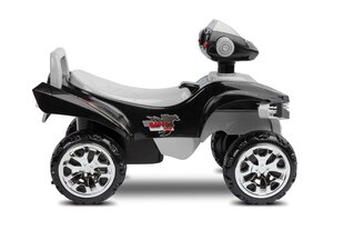 Pealeistutav auto Toyz MiniRaptor Grey цена и информация | Игрушки для малышей | hansapost.ee