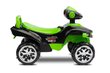 Pealeistutav auto Toyz MiniRaptor Green цена и информация | Beebide mänguasjad | hansapost.ee