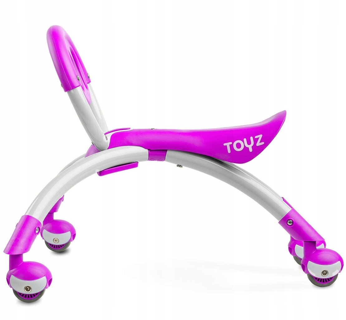 Pealeistutav masin Toyz Beetle Purple hind ja info | Beebide mänguasjad | hansapost.ee