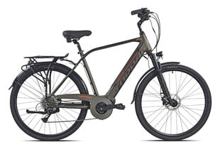 Электрический велосипед Torpado Eros T225, серый цена и информация | Электровелосипеды | hansapost.ee