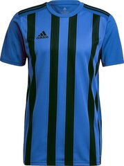 Jalgpallisärk Adidas STRIPED 21 JSY, sinine, M hind ja info | Jalgpalli varustus ja riided | hansapost.ee