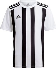 Jalgpallisärk Adidas STRIPED 21 JSY, valge, S hind ja info | Jalgpalli varustus ja riided | hansapost.ee