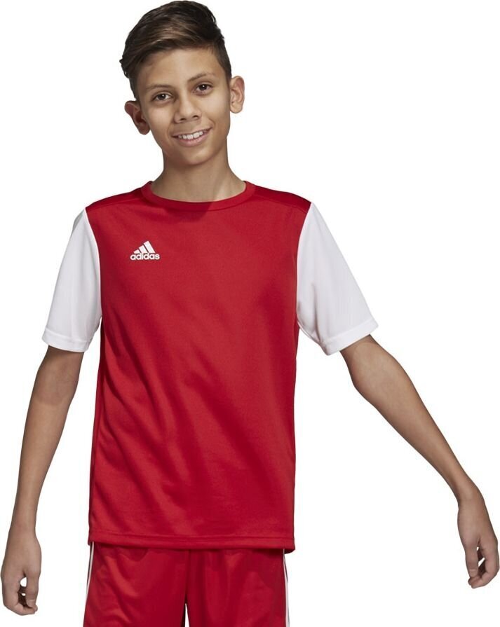 Adidas Jalgpallisärk ESTRO 19 JSY, punane, 164cm цена и информация | Jalgpalli varustus ja riided | hansapost.ee