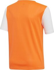 Adidas Jalgpallisärk ESTRO 19 JSY, oranž, 164cm hind ja info | Jalgpalli varustus ja riided | hansapost.ee