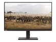 Lenovo 62AFKAT2EU цена и информация | Monitorid | hansapost.ee