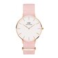 Daniel Wellington Petite 36 Rosewater naiste käekell цена и информация | Käekellad naistele | hansapost.ee