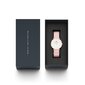 Daniel Wellington Petite 36 Rosewater naiste käekell цена и информация | Käekellad naistele | hansapost.ee