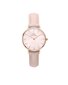 Daniel Wellington Petite 28 käekell цена и информация | Käekellad naistele | hansapost.ee