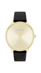 Calvin Klein Timeless 2H naiste käekell hind ja info | Calvin Klein Naistele | hansapost.ee