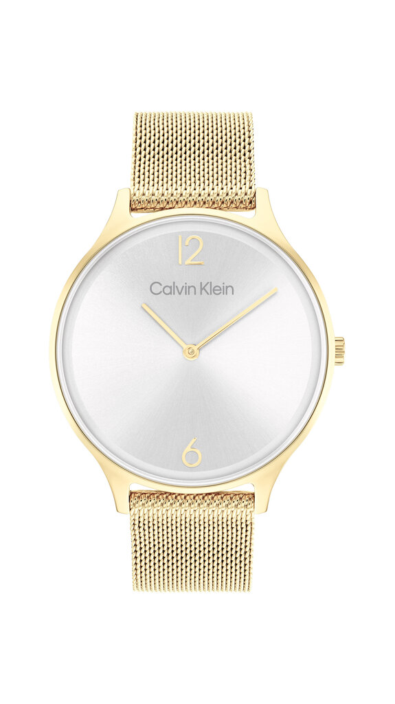 Calvin Klein Timeless 2H naiste käekell цена и информация | Käekellad naistele | hansapost.ee