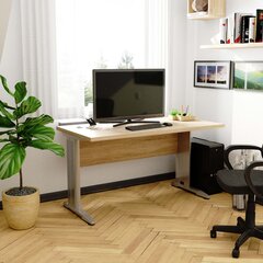 Стол компьютерный БМ-135, коричневато-серый цена и информация | Компьютерные, письменные столы | hansapost.ee