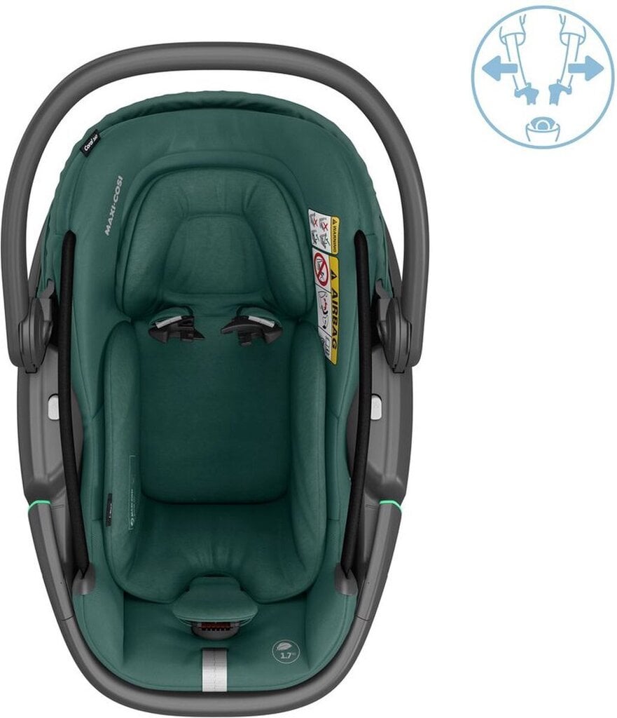 Maxi-Cosi turvahäll Coral 360 I-Size BS 0-13 kg, essential green цена и информация | Turvatoolid ja turvahällid | hansapost.ee