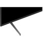 Sony FW-55BZ40H/1 hind ja info | Monitorid | hansapost.ee