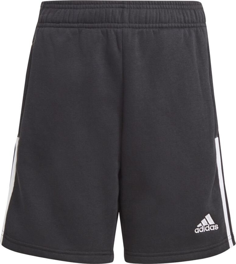 Poiste lühikesed püksid Adidas Tiro 21 Sweat Short Jr GM7343 must, 164 cm цена и информация | Jalgpalli varustus ja riided | hansapost.ee