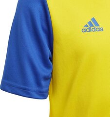 Treeningsärk Adidas Estro 19 Jersey Junior, kollane, 128cm hind ja info | Jalgpalli varustus ja riided | hansapost.ee