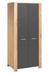 Шкаф Vega 2D, серый цена и информация | Шкафы | hansapost.ee