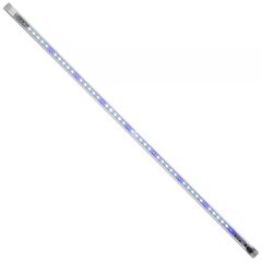 Аквариумное освещение Aquael Leddy Tube Sunny LED, 17 Вт цена и информация | Аквариумы и оборудование | hansapost.ee