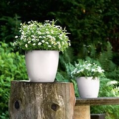 LECHUZA taimekast "Classico Color 28 ALL-IN-ONE" kõrgläikega valge hind ja info | Lillepotid | hansapost.ee