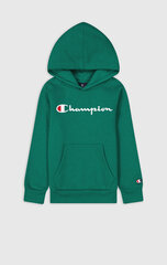 Детский свитер Champion, зеленый цвет цена и информация | Свитеры, жилетки, пиджаки для мальчиков | hansapost.ee