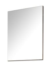 Зеркало Pavo, серебро цена и информация | Подвесные зеркала | hansapost.ee