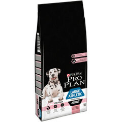 Kuivtoit koertele Purina ProPlan Adult Large Athletic 14kg price and information | Koerte kuivtoit ja krõbinad | hansapost.ee