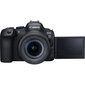 Canon EOS R6 Mark II + RF 24-105mm F4-7.1 STM hind ja info | Fotoaparaadid | hansapost.ee