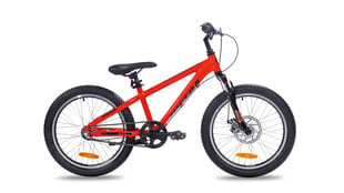 Велосипед детский Insera Breeze 20", оранжевый цвет цена и информация | Велосипеды | hansapost.ee