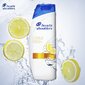 Šampoon Head&Shoulders Citrus 250 ml цена и информация | Šampoonid | hansapost.ee