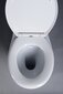 Ääristeta kompaktne veljeta tualettruum, kõrge tagumine väljapääs HANDICAP/ETIUDA hind ja info | WС-potid | hansapost.ee